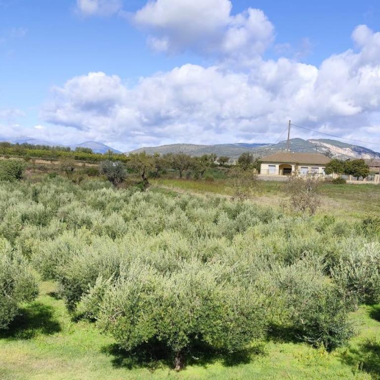 Casa Ferrero - Appartement 1 Chambre - 14