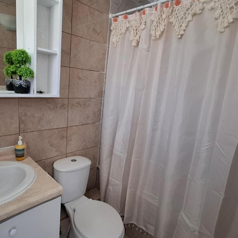 Alturas del Elqui 417 - Apartamento - 8