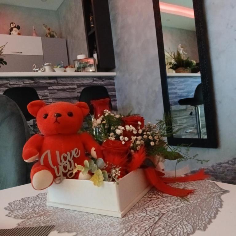 Apartman Suzii - Apartman sa 1 Spavaćom Sobom - 13