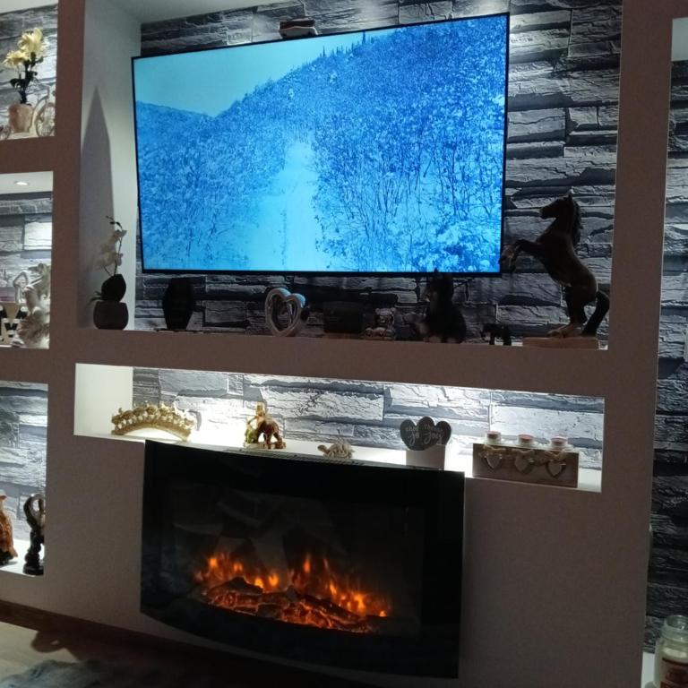 Apartman Suzii - Apartman sa 1 Spavaćom Sobom - 21