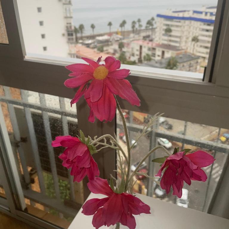 Benalmadena ,apartamento-Estudio primera Línea de Playa - Estudio con cama extragrande - 30