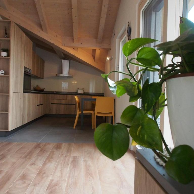 Casa Del Gatto Relax e Natura tra le Dolomiti - Appartamento con 2 Camere da Letto - 1