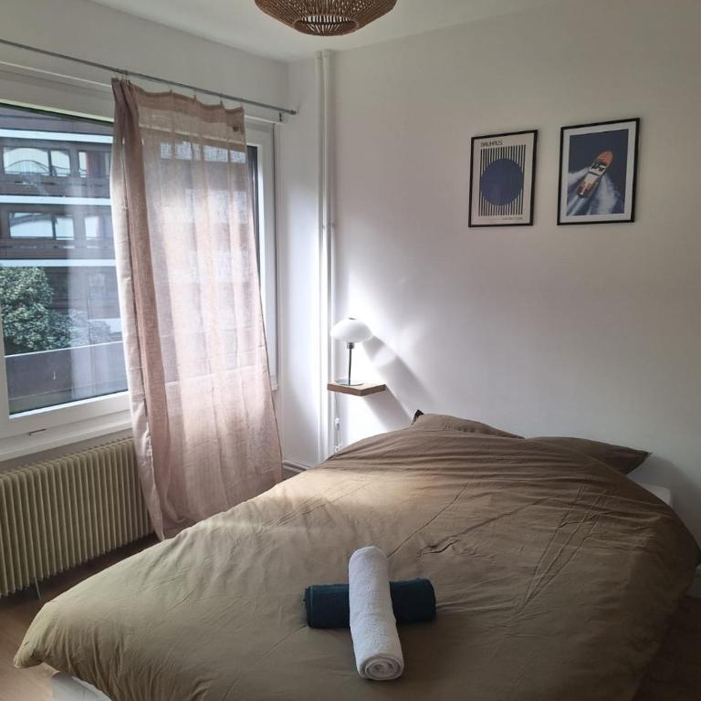 Colocation Cap Ferry - Chambre Double - Vue sur Jardin - 4