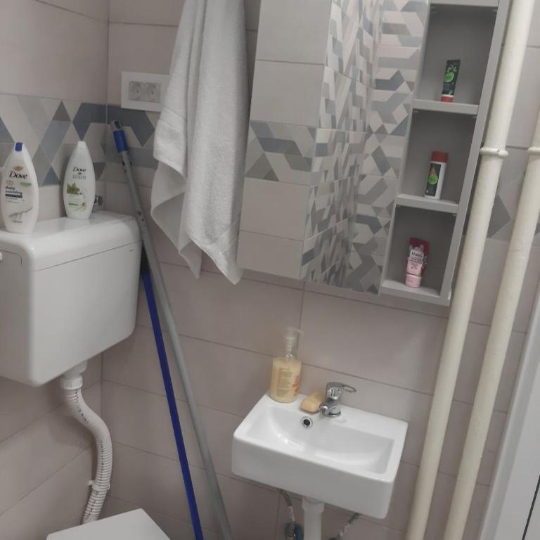 MUNJA Apartman - Apartman sa 1 Spavaćom Sobom - 9