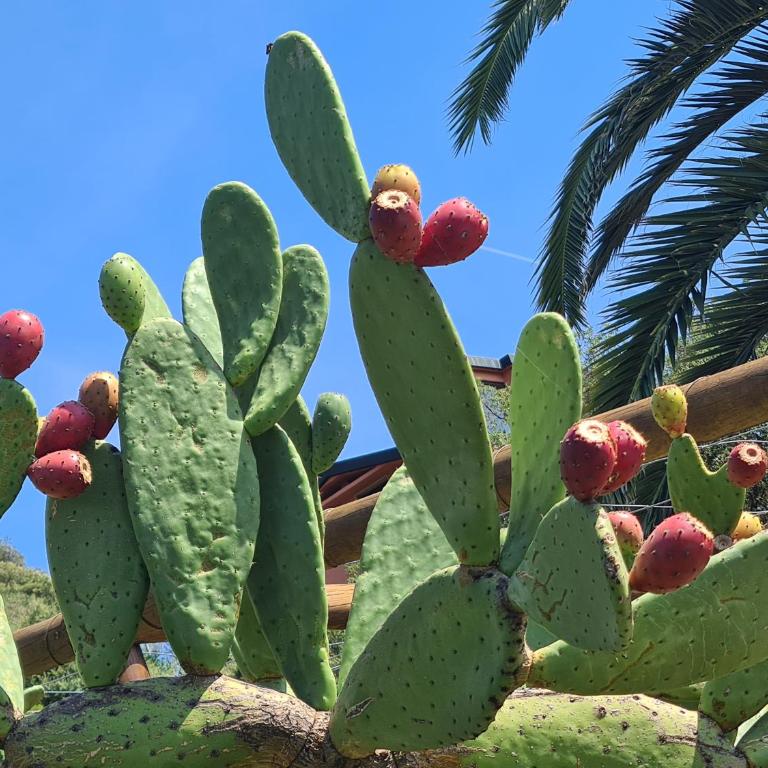 "San Giovanni Apartment" Seaview, terrace, 2 Aircondo BDR, 3rd floor, Free Garage 200 mt far, from Train platform elevator to the upper walking road, 200mt to home - Apartamento de 2 dormitorios - 40