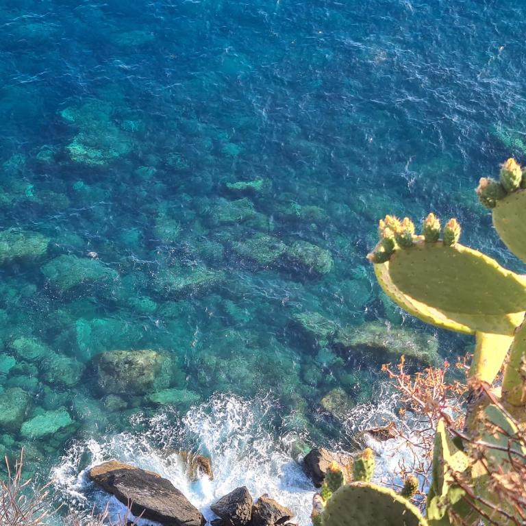 "San Giovanni Apartment" Seaview, terrace, 2 Aircondo BDR, 3rd floor, Free Garage 200 mt far, from Train platform elevator to the upper walking road, 200mt to home - Apartamento de 2 dormitorios - 25