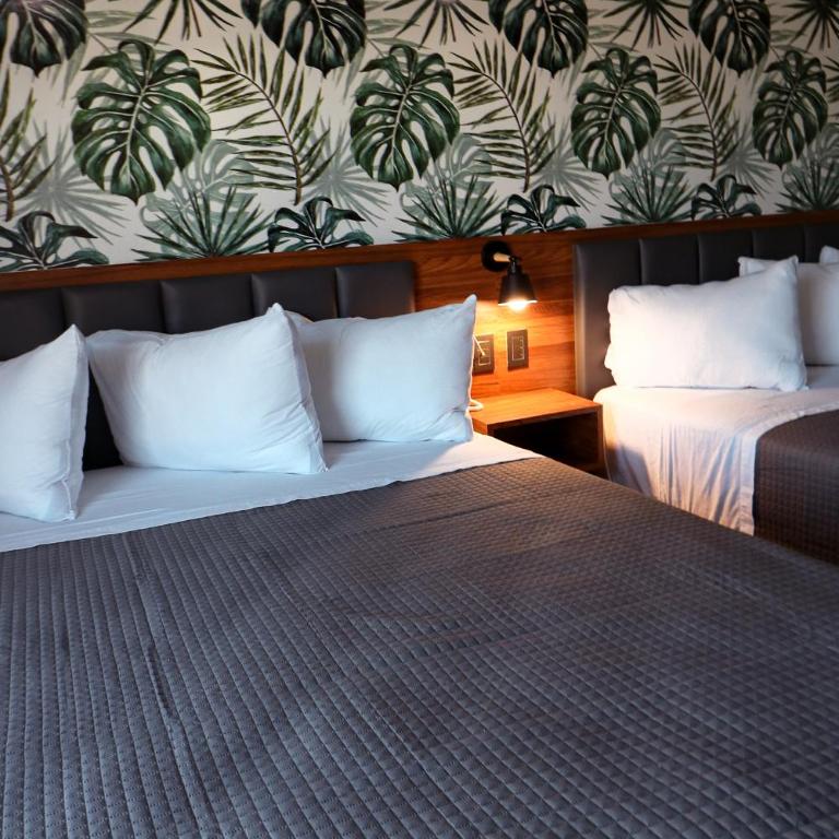 Hotel La Quinta Bonita - Estudio Dúplex - 6
