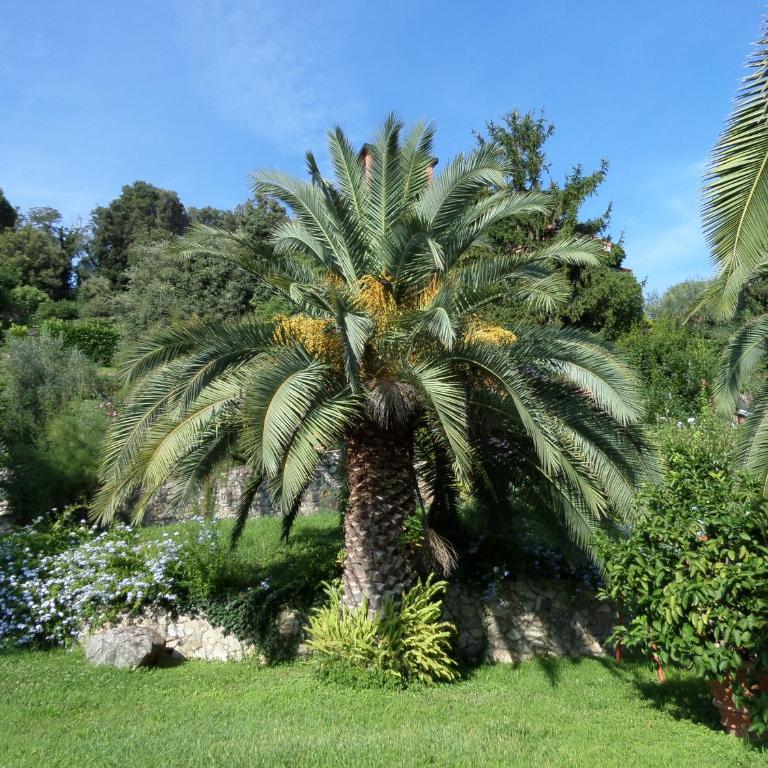 "Torretta House", in a Private Park on Lerici hills, shared Pool, Tennis, AC, parking next door, additional parking in Lerici, Cooking Lesson and Wine Tasting - Casa con 2 Camere da Letto - 42