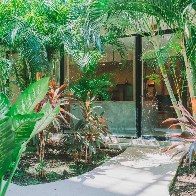 XP Tulum by Dream Vacay - Estudio Superior - 10