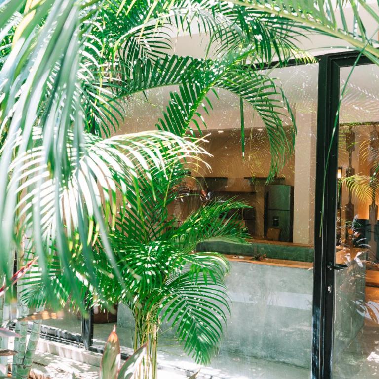 XP Tulum by Dream Vacay - Estudio Superior - 11