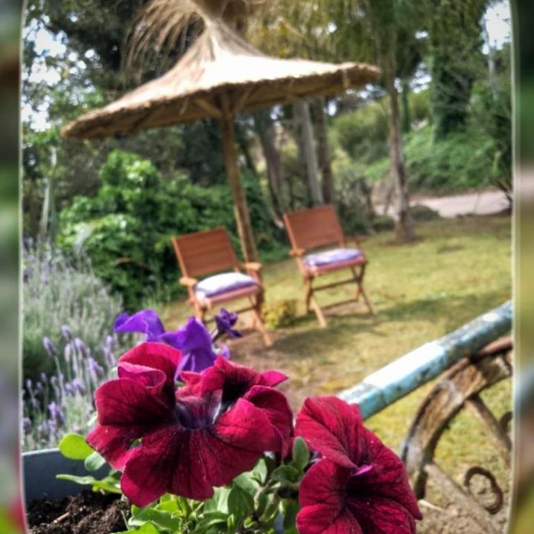 CASADELGOLF Villa Gesell - Two-Bedroom House - 6