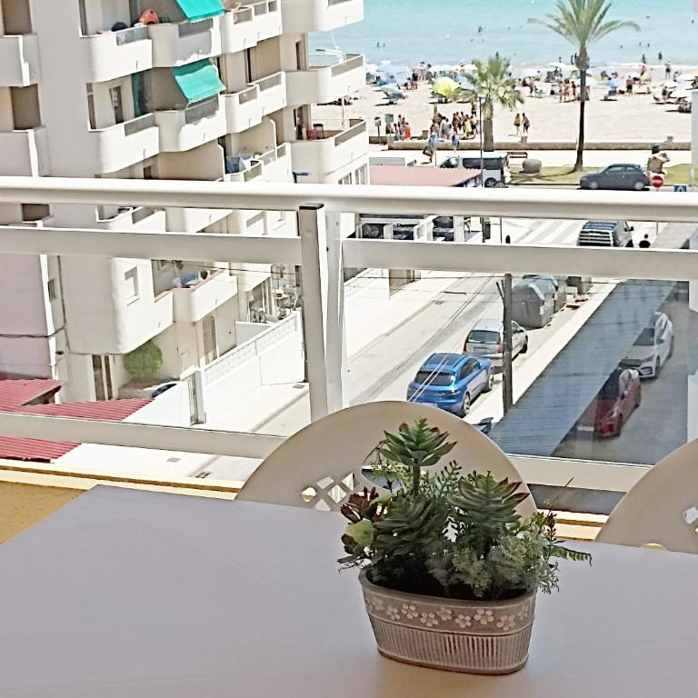 Apartamento céntrico en la playa con piscina. - Apartamento - 21