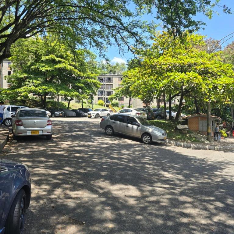 Apartamento en tricentenario - Apartamento de 3 dormitorios - 29