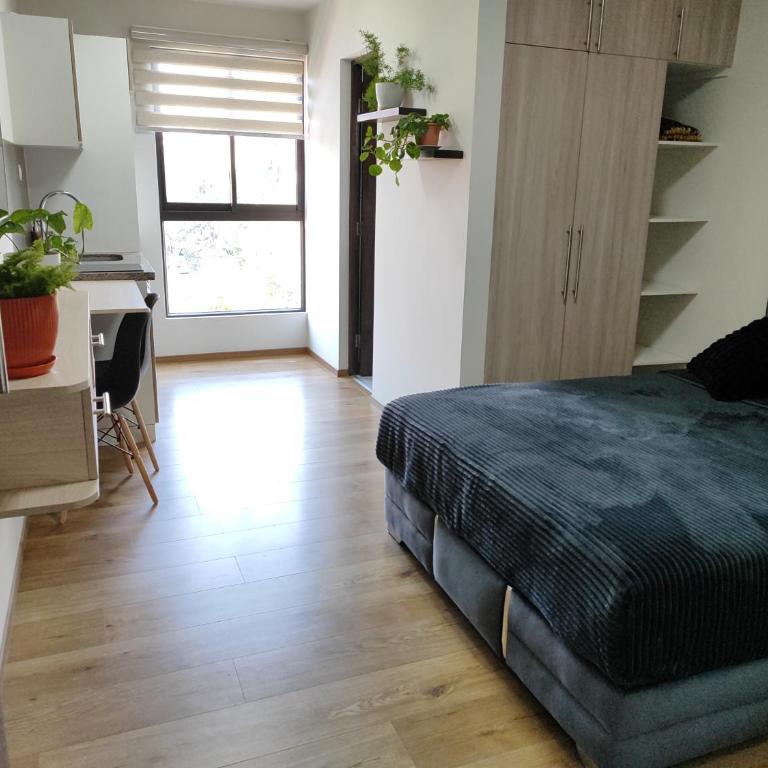 Comodo monoambiente con balcon en el Prado - Apartamento de 1 dormitorio - 1