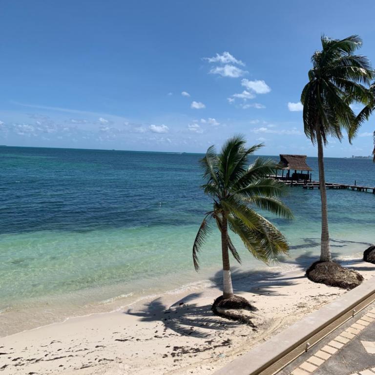 Ocean View PLAYA DEL NIÑO Rooms & Apartments - Deluxe Double or Twin Room with Sea View - 19