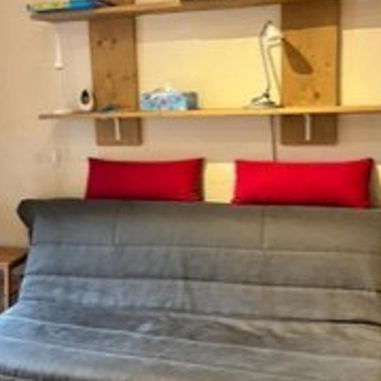 Studio cabine Montriond - 19m², balcon sud, parking - Appartement 1 Chambre - 2