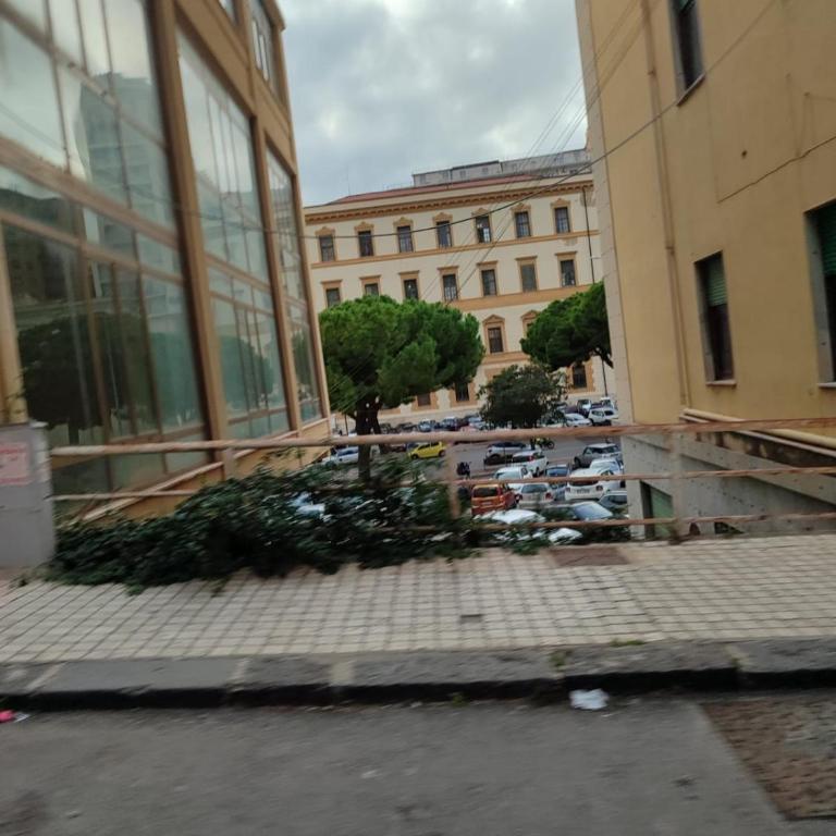 San vito 9 - a - Appartamento con 1 Camera da Letto - 18