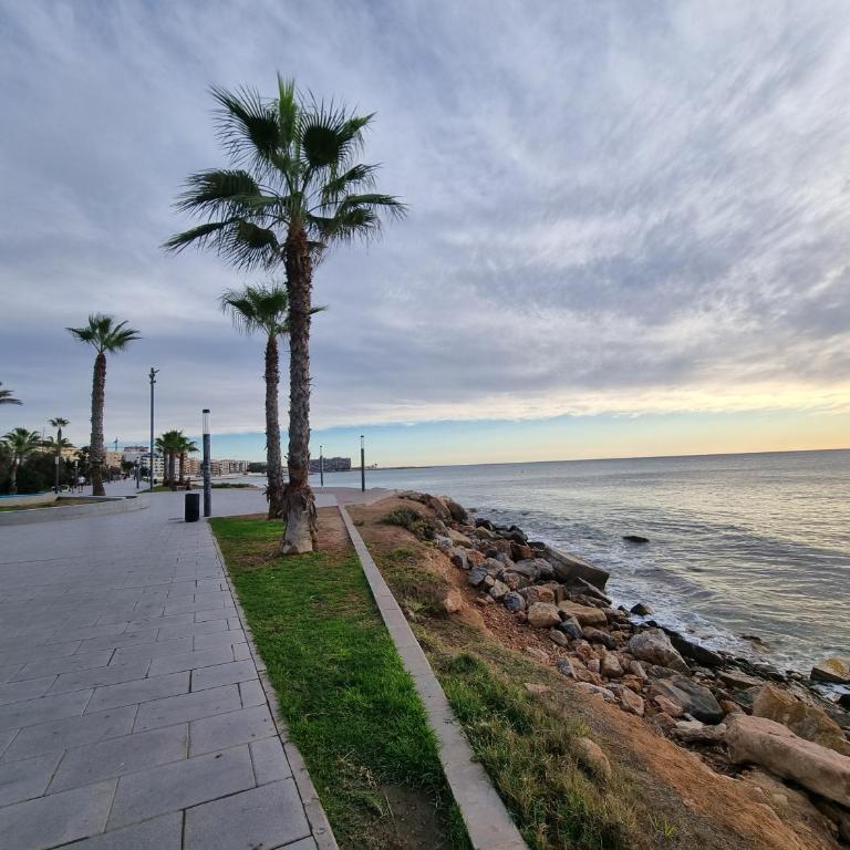 La Casa de Torrevieja - Casa de 2 dormitorios - 37