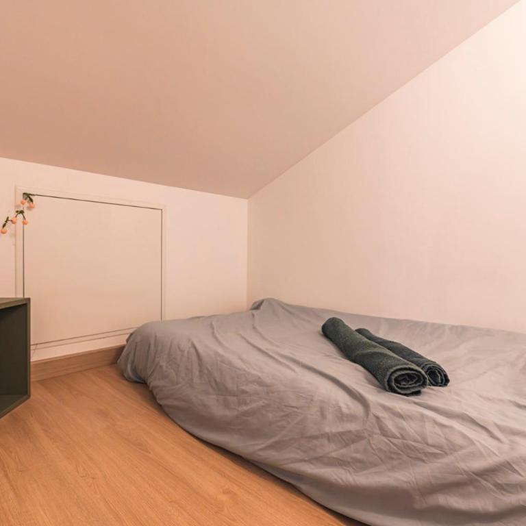 Loft type industriel - Appartamento con 1 Camera da Letto - 20
