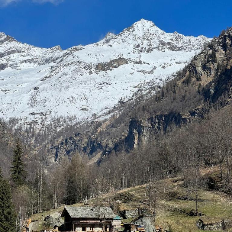 Nest in Alagna - Appartamento con 1 Camera da Letto - 9
