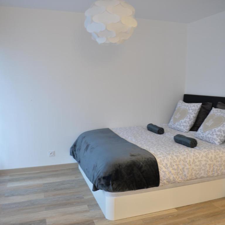 Centre-ville à vos pieds - Appartement 1 Chambre - 5