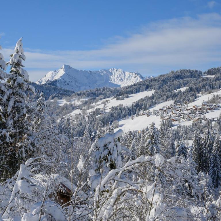 Chalet Ruisseau - Chalet - 22