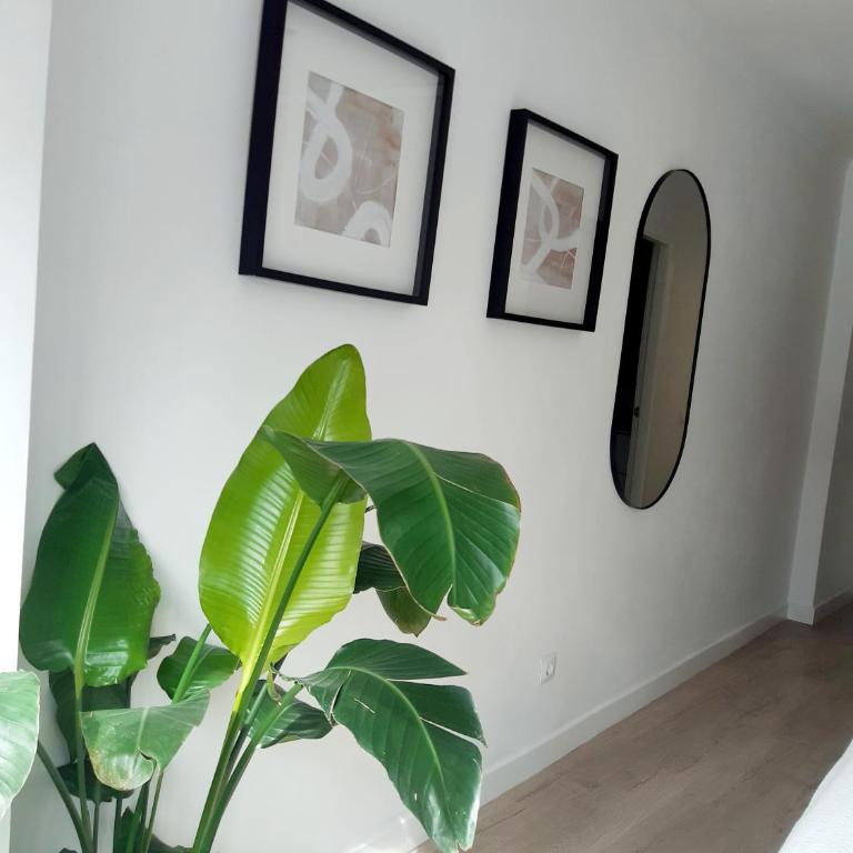 Impressive apartment with 3 bedrooms metres from the beach - Three-Bedroom Apartment - 28
