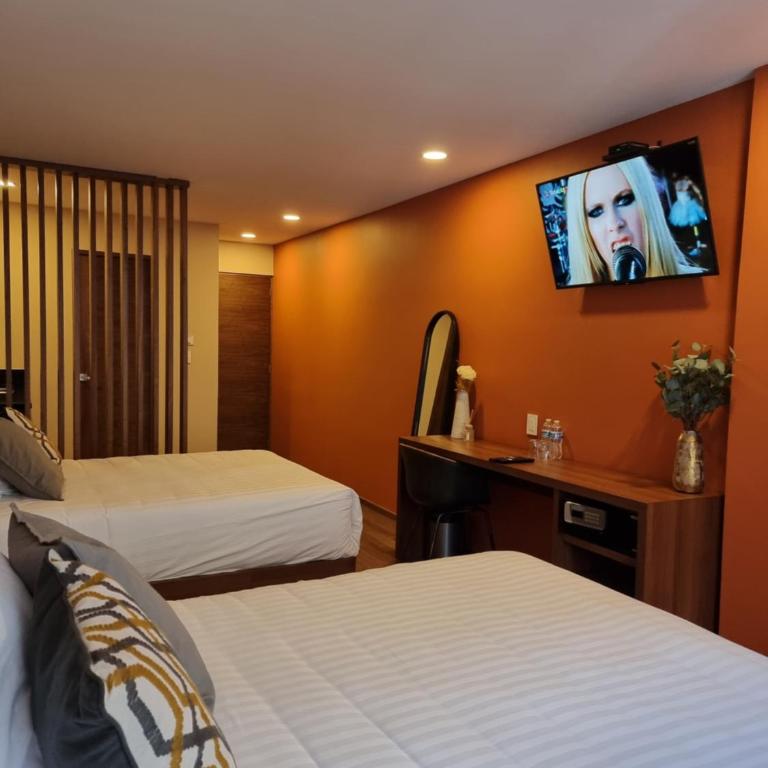 Condesa Cibel - Estudio Doble Deluxe - 4