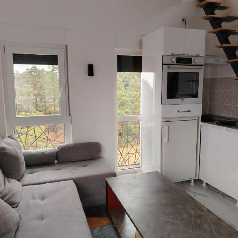 Djina 3 Divcibare - One-Bedroom Apartment - 12