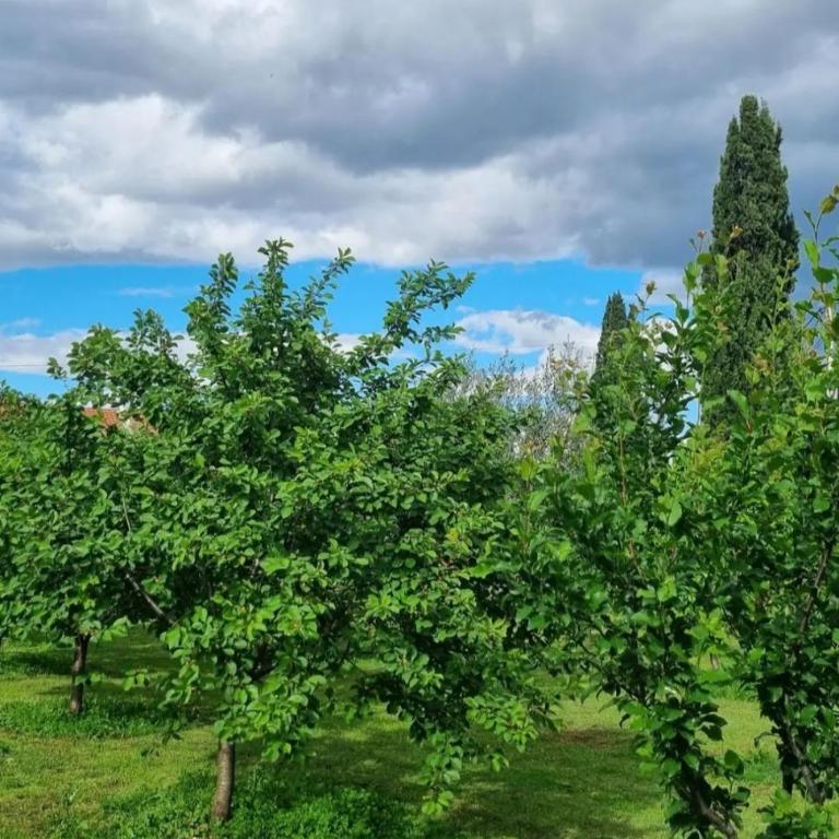 Apartment Matija Airport - Apartman sa 1 Spavaćom Sobom - 20