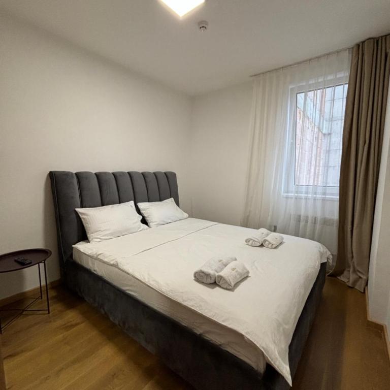Katana-Jahorinska Vila - Apartman sa 1 Spavaćom Sobom - 23