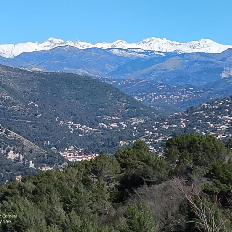 Studio dans Villa Don Quijote Nice - Apartamento de 1 dormitorio - 9