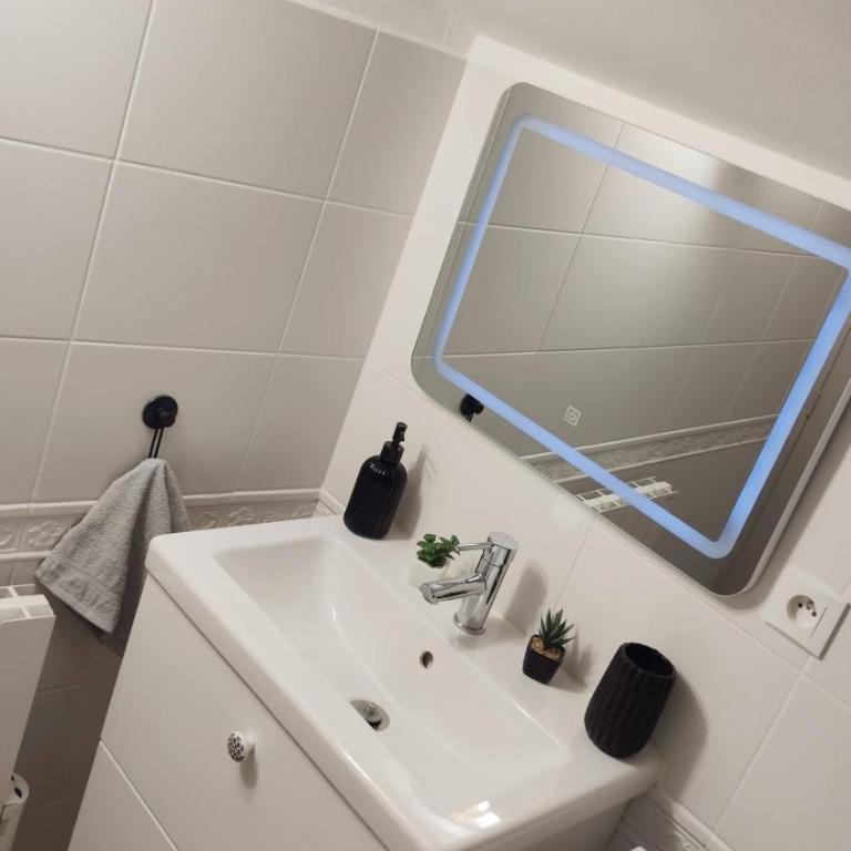 Sous les toits de Millau - Appartement cosy et chaleureux - Appartement 1 Chambre - 27