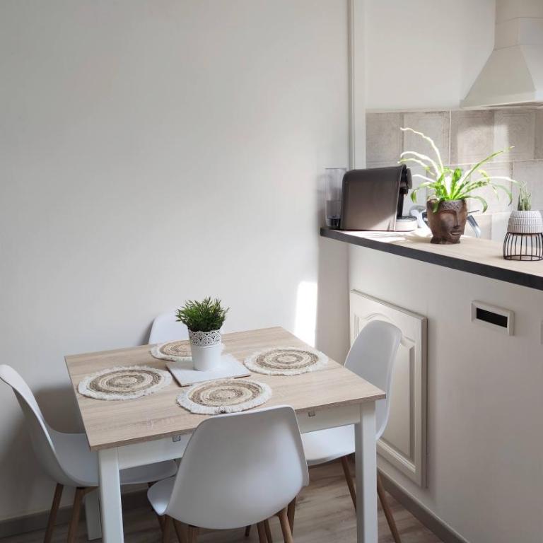 Sous les toits de Millau - Appartement cosy et chaleureux - Appartement 1 Chambre - 14