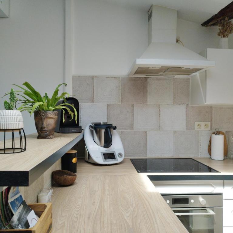 Sous les toits de Millau - Appartement cosy et chaleureux - Appartement 1 Chambre - 17