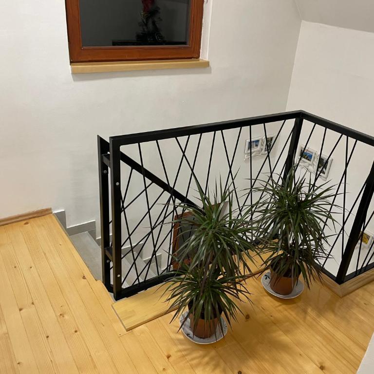 Vila Starcevic - Two-Bedroom Villa - 43