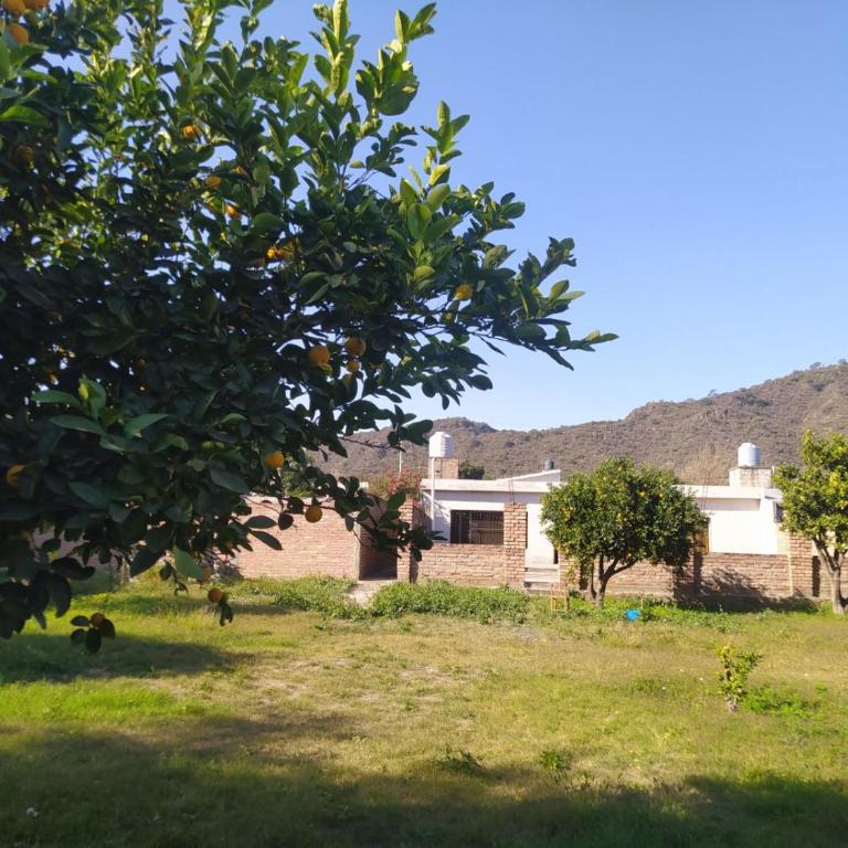 Hermanos Castillo Jerez - Two-Bedroom House - 10