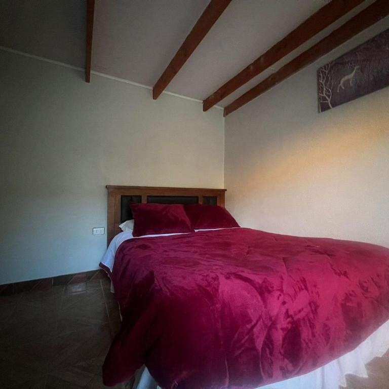 Yaalir Rey s Guest House - Double Room - 5