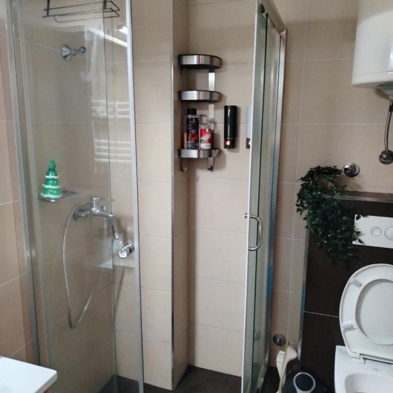Kopaonik Župa 505 - One-Bedroom Apartment - 20