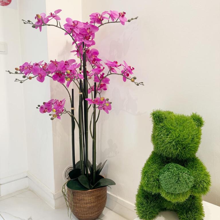 Best Location Calm Palais Royal Louvre Opera Concorde CLIM - Appartement 2 Chambres - 13