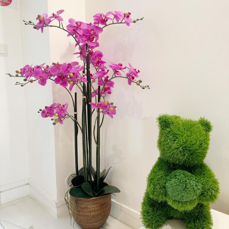 Best Location Calm Palais Royal Louvre Opera Concorde CLIM - Appartement 2 Chambres - 5
