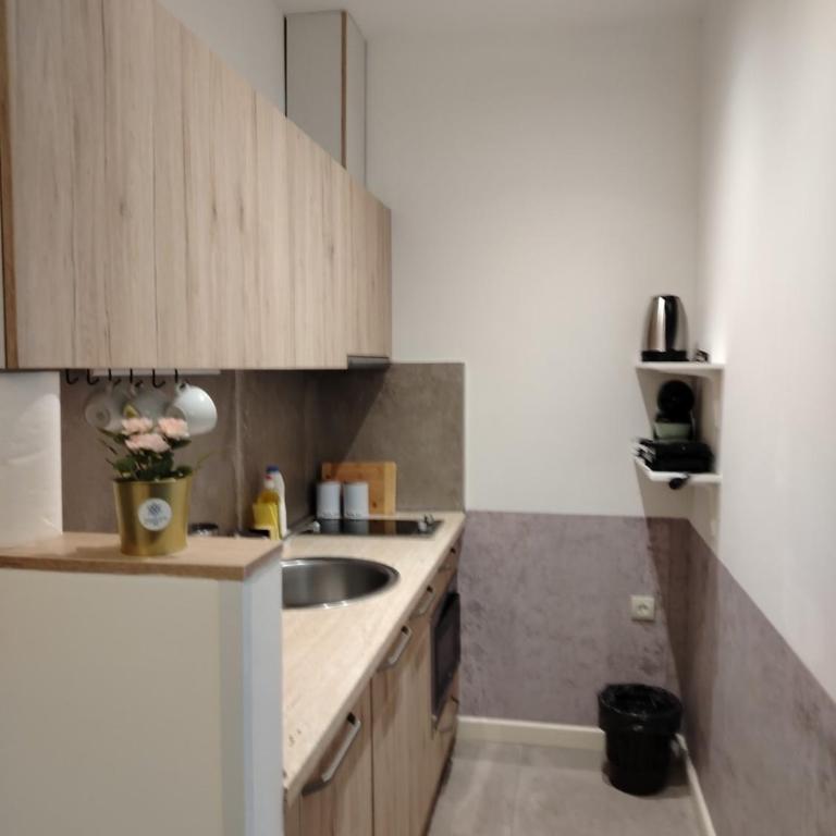 Kopaonik Župa 505 - One-Bedroom Apartment - 5