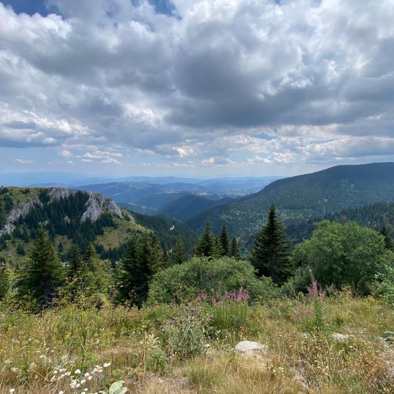 Kopaonik Župa 505 - One-Bedroom Apartment - 35