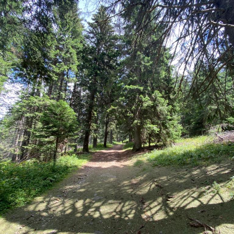 Kopaonik Župa 505 - One-Bedroom Apartment - 37