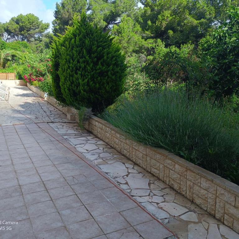 Studio dans Villa Don Quijote Nice - Apartamento de 1 dormitorio - 13