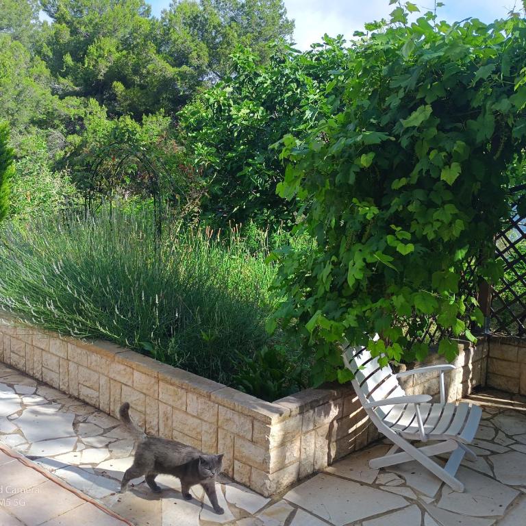 Studio dans Villa Don Quijote Nice - Apartamento de 1 dormitorio - 19