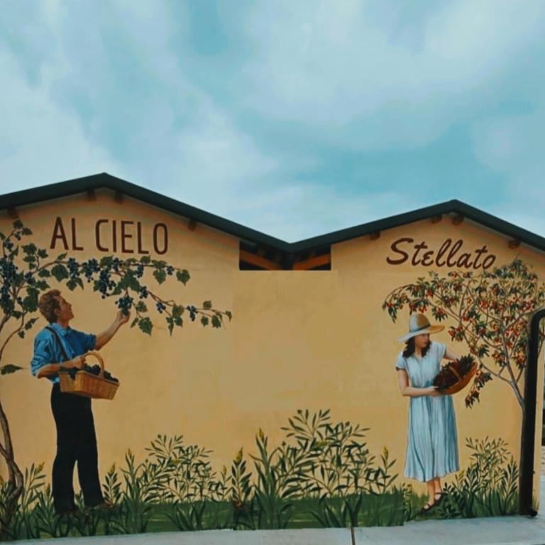Agricampeggio AL CIELO STELLATO - Casa Mobile - 8