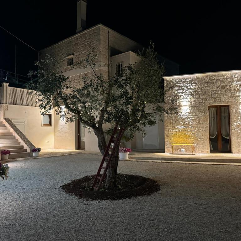 L'Ulivo Nascosto - Casa con 1 Camera da Letto - 1