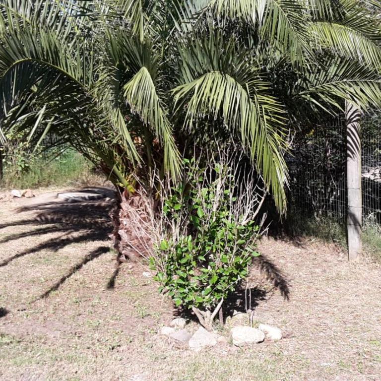 Fuerte Pirata - Two-Bedroom House - 25