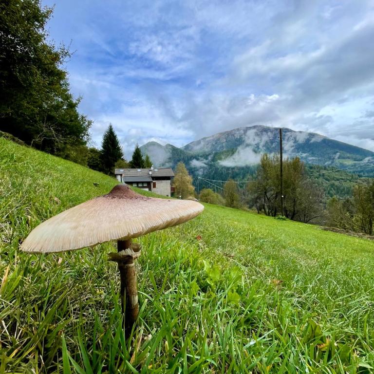 Panoramic Stay with Free Parking & Ski Slopes - Ferienhaus - 20